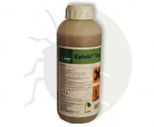 Kelvin Top