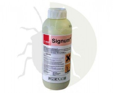 Signum