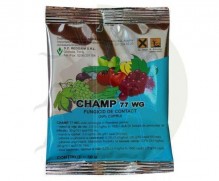 Champ 77 WG