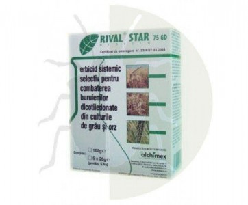 Rival Star 75 GD