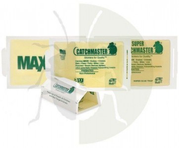 Capcana CatchMaster 72MB, adeziv soareci