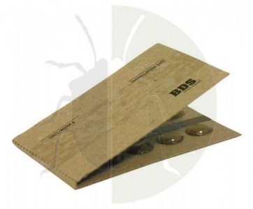 Capcana CatchMaster BDS, adeziv plosnite